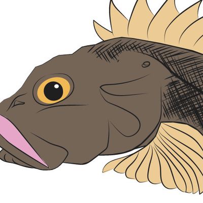 Скорпена