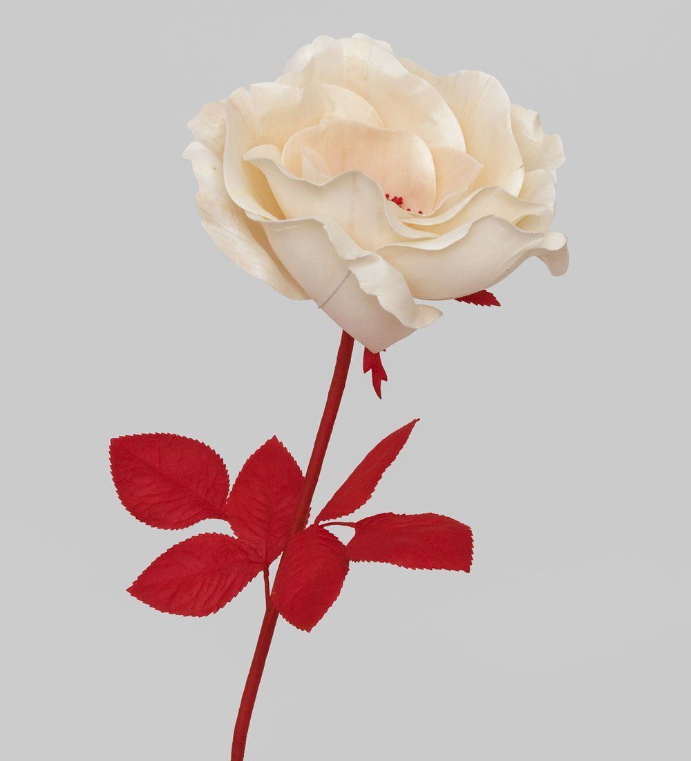 TR 401 Распустившаяся роза