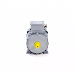 Электродвигатель ESQ PR 90 L6-SDN-Б1-S12-IE3 1,1/1000 IMB3