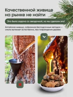 Живица кедровая 10% на тыквенном масле, с пипеткой, 100 мл