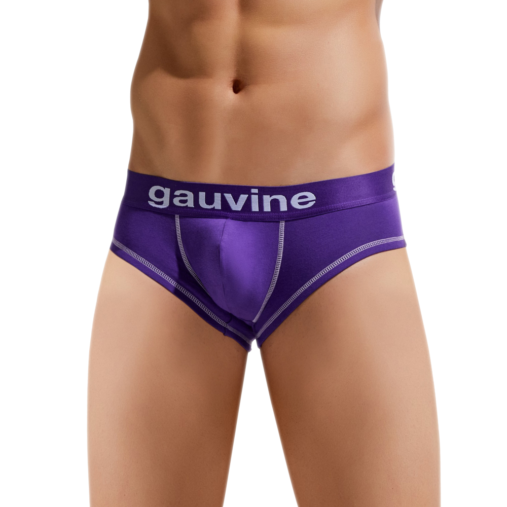 Мужские трусы брифы фиолетовые GAUVINE 3023