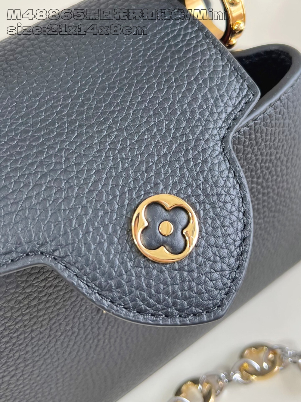 Louis Vuitton Capucines Mini