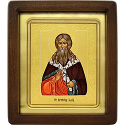 Илья Святой Пророк. Рукописная икона.