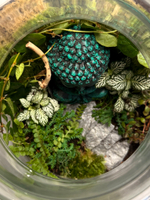 Флорариум M/L (от 20 см до 50 см)