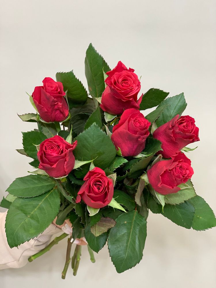 Букет 7 роз Кения 40 см в ленте розовые