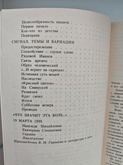 Грустный солдат, или Жизнь Всеволода Гаршина
