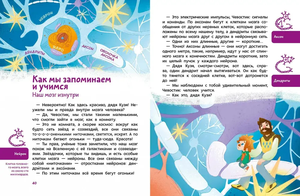 Как устроен мозг. Детская энциклопедия (Чевостик) (Paperback)