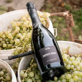 Интервью с Nicola Menin, представителем Bortolin Angelo