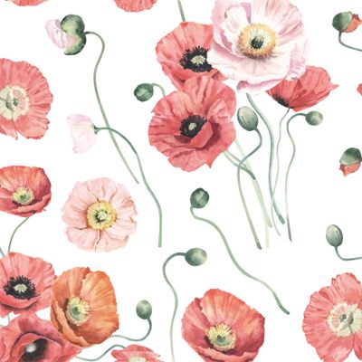 Акварельные элегантные маки на белом фоне