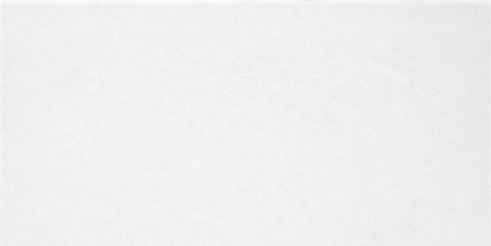 TWU09MNR020 плитка облицовочная Monocolor 249x500x8,5