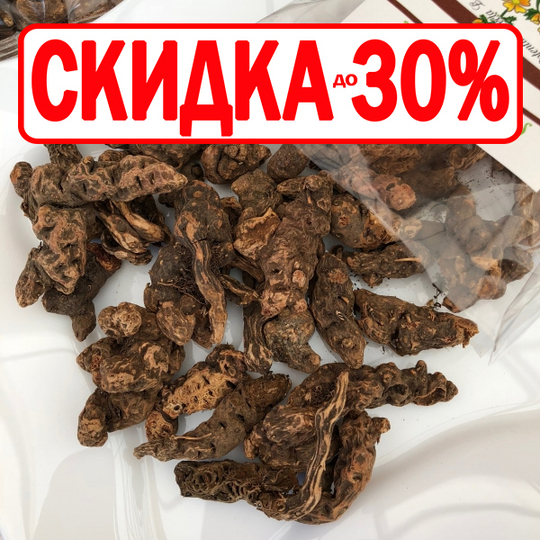 Калган \ Лапчатка прямостоячая (корень)