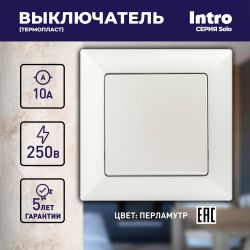 Выключатель Intro Solo 4-101-06 одноклавишный 10А-250В, IP20, СУ, перламутр