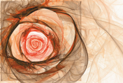 Коллекция Цветы