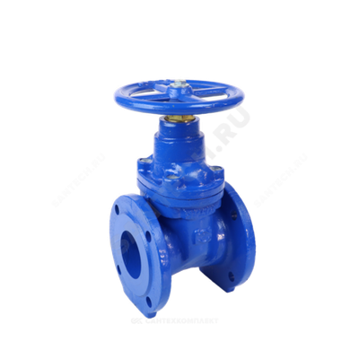 Задвижка чугун аналог МЗВ обрезиненный клин Ду 300 Ру10 фл Завод им Гаджиева