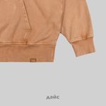  Толстовка мужская Dickies Plentywood Hoodie артикул:DK0A866D0BD1 - купить в магазине Дайс