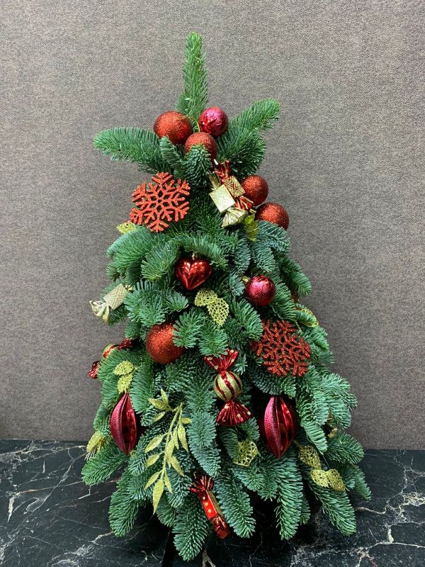 Елочка НГ-29