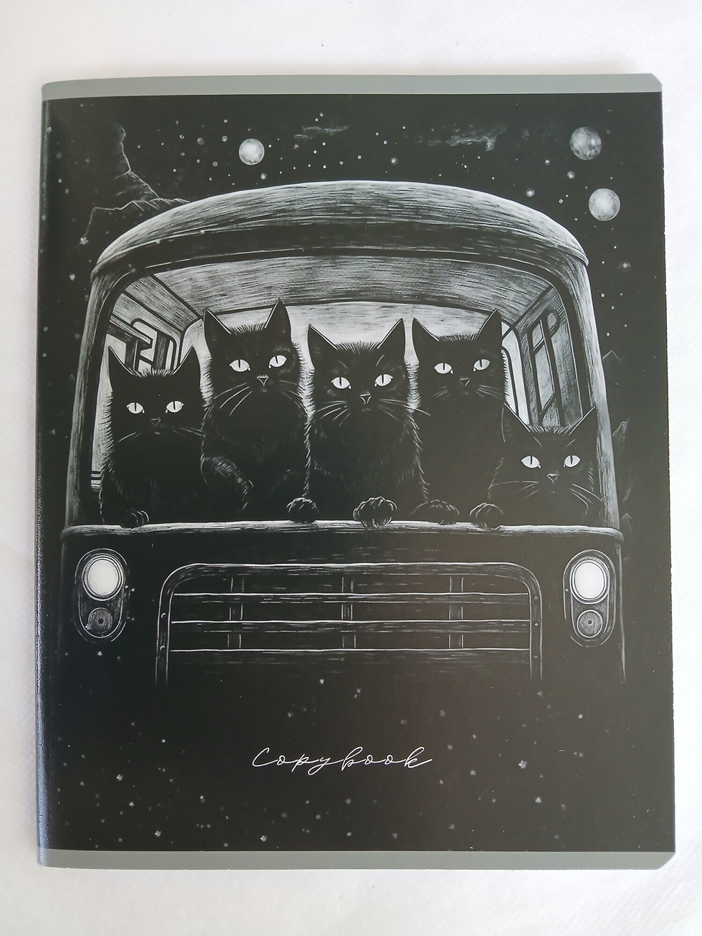 Тетради 48 листа А5+.  "Не просто коты...", общая, клетка. Формат А5+ (163*203 мм). Арт.120027. С полями. Комплект 5 шт.