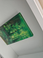 Планета обезьян