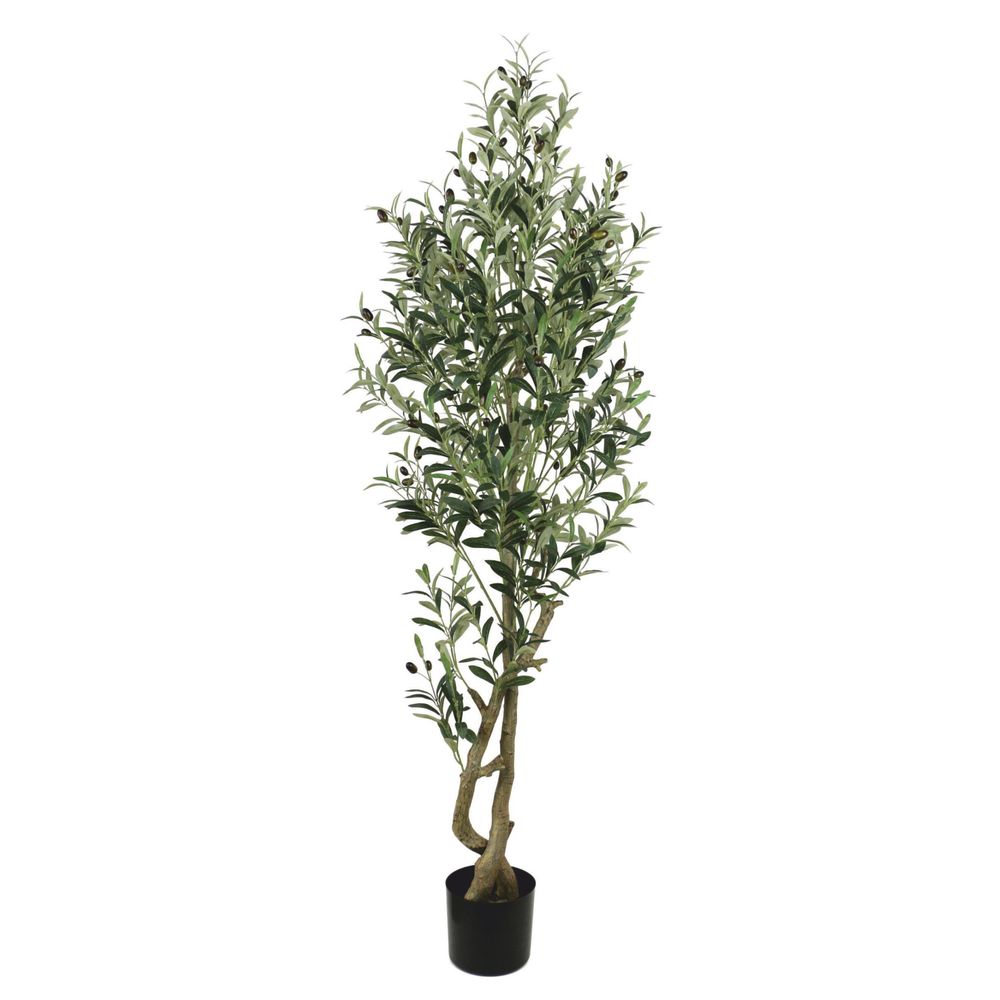 Олива 172 см. Олива 172 см.