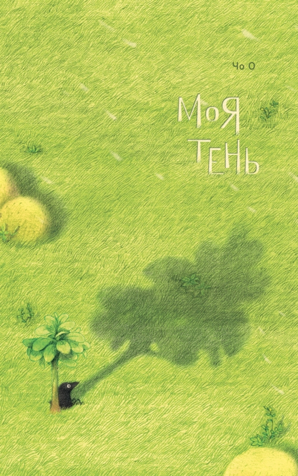Моя тень
