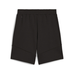 Мужские шорты PUMA EVOSTRIPE Shorts