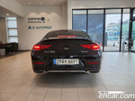 Mercedes-Benz CLS-Class C257 CLS450 4MATIC AMG Line (05.2021)
