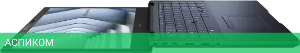 Ноутбук Asus ExpertBook B2 B2502CVA-BQ0182
