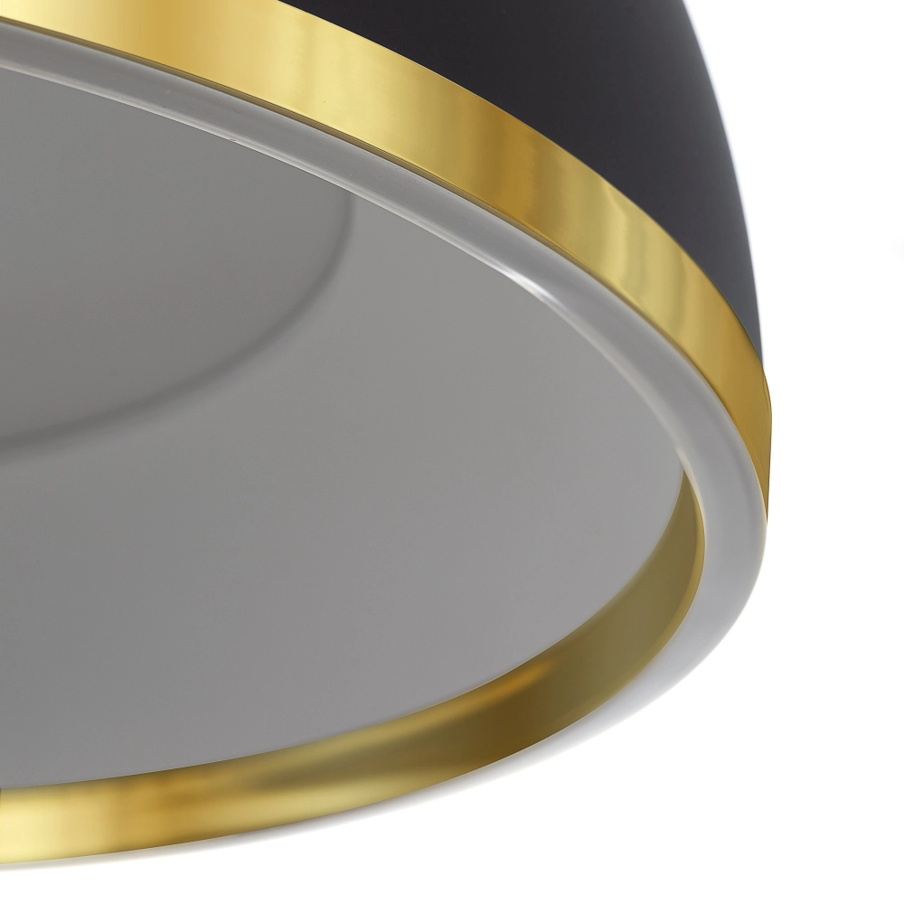 Подвесной светодиодный светильник Citilux Floom CL736251