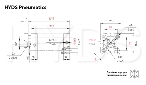 ADNGF-100-250-P-A Пневмоцилиндр
