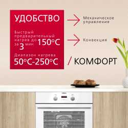 Духовой шкаф Hansa BOEW68465