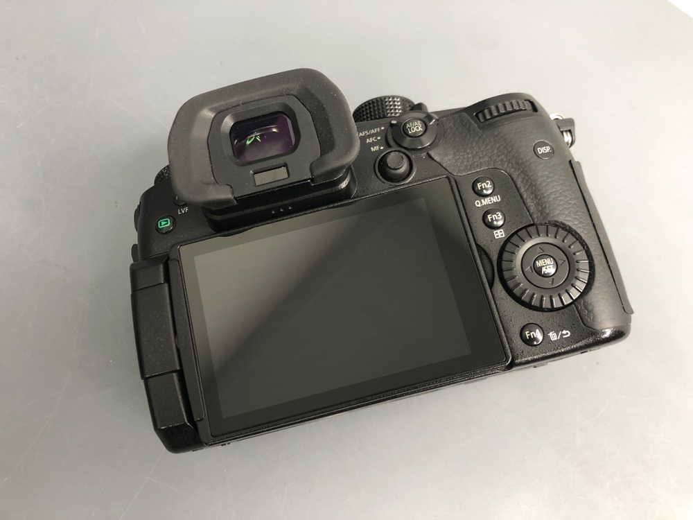 Panasonic Lumix GH5 2.100 кадров