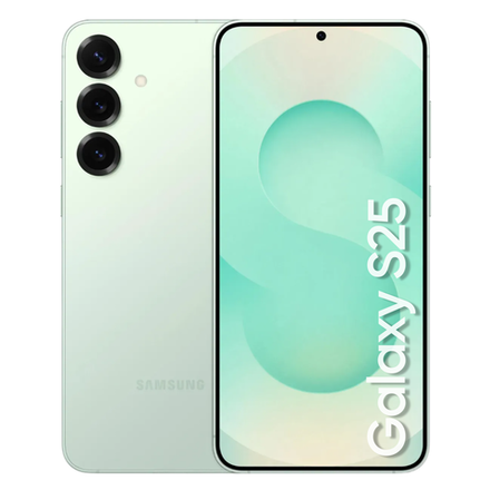 Samsung Galaxy S25 12/256Gb