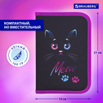 Пенал BRAUBERG 1 отделение полиэстер 21х14 см "Black Cat" (2 штуки в упаковке)