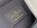 Louis Vuitton Felicie