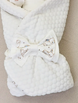 Конверт на выписку новорожденного осень без костюма