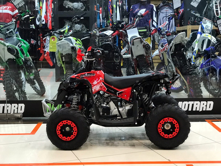 YACOTA RENEGADE mini 110 (красный)