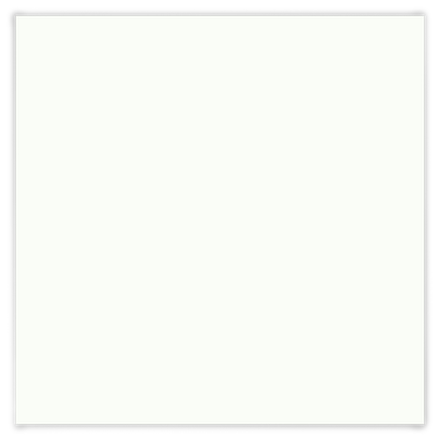 Кожа БЕЛАЯ С ГОЛУБЫМ ОТЛИВОМ