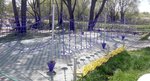 Канатный маршрут № 5 Продольные ступеньки