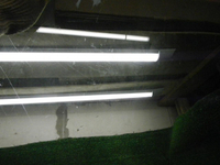 Стекло двери переднее левое BMW 5er F07 GT (2009-2017)