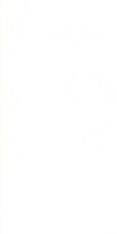 Керамогранит Morandi Zero-M (Art##0007359)