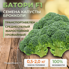 БАТОРИ F1 семена капусты брокколи (Syngenta | Alexagro)