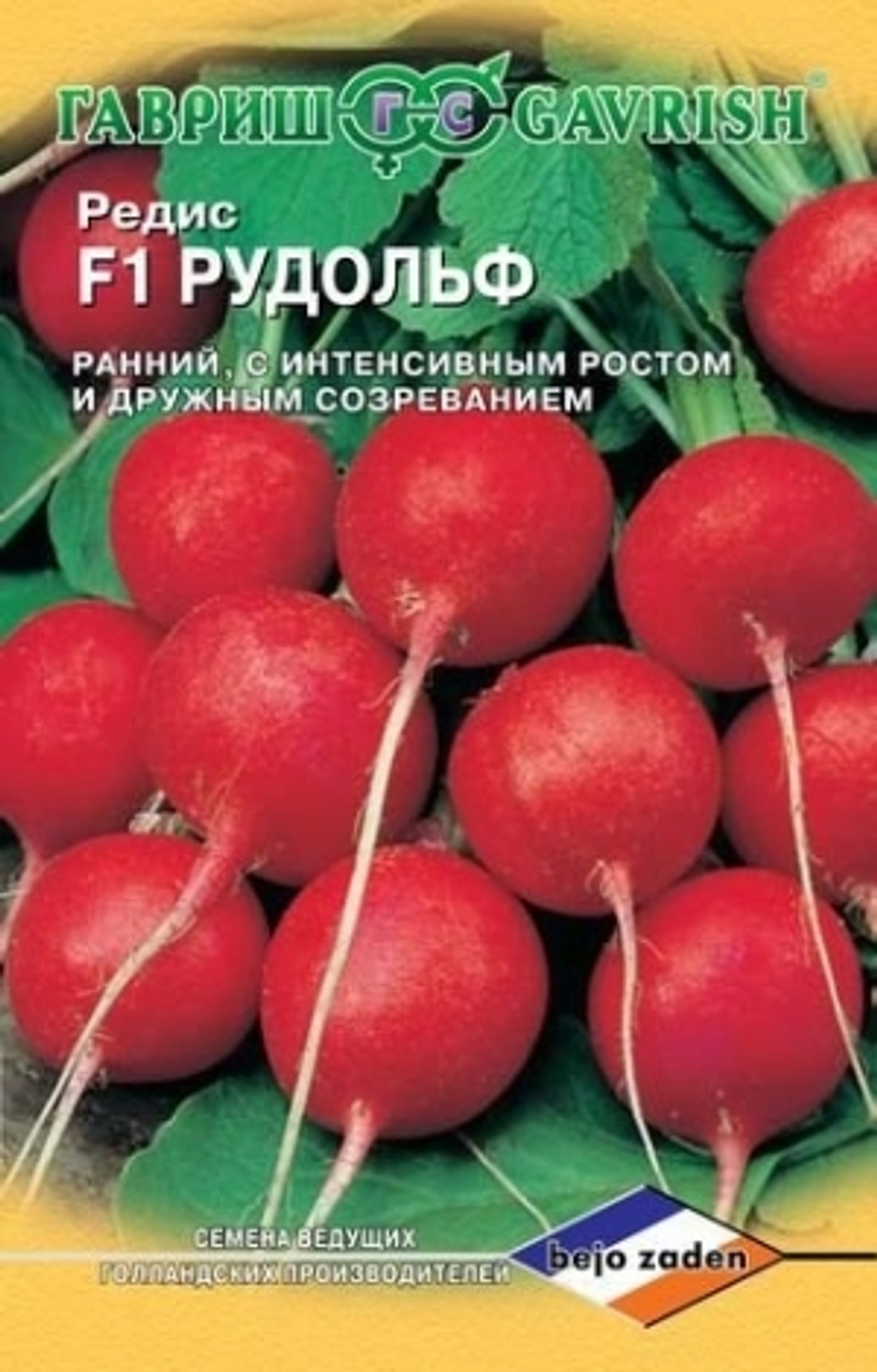 Редис Рудольф (Гавриш) 1г