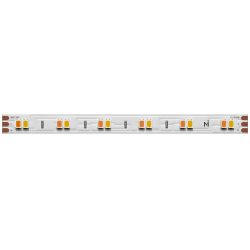 Светодиодная лента Maytoni 12Вт/м 6000К 24V IP20 Ultra 201123