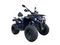 Квадроцикл GLADIATOR F200 Premium