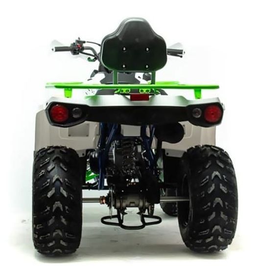 Квадроцикл MOTOLAND 200 Shark (2021 Г.)