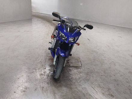 Yamaha FZS1000 Fazer , 2001