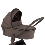 Коляска 2 в 1 ANEX Flo Browny