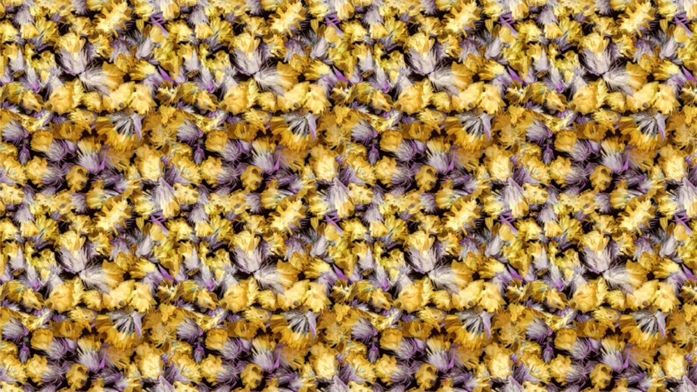 Цифровое панно ID Wall VERNAL HERBARIUM