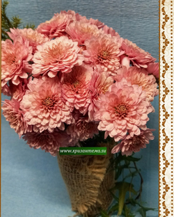 мультифлора шаровидная розово персиковая